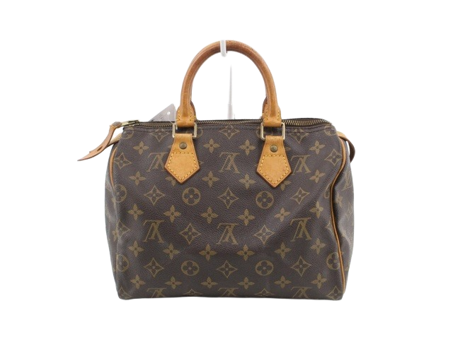 Louis Vuitton Speedy 25 LV monogram hand